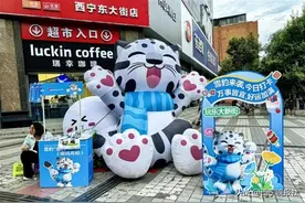 来大新街夜市看可爱萌豹图片