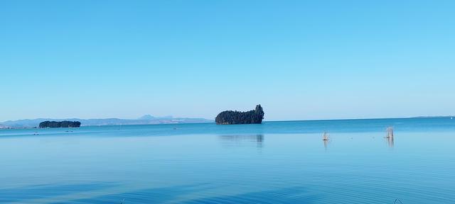 鲸鱼湾旁滇池边，水杉红透冬日水境