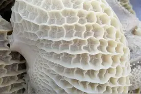 独家知识：全面认识食品加工所用的碱性原料，收藏级别版本图片