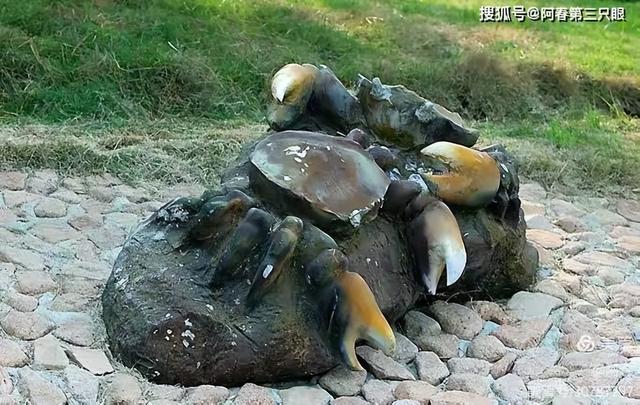 用我的镜头 亲吻青岛