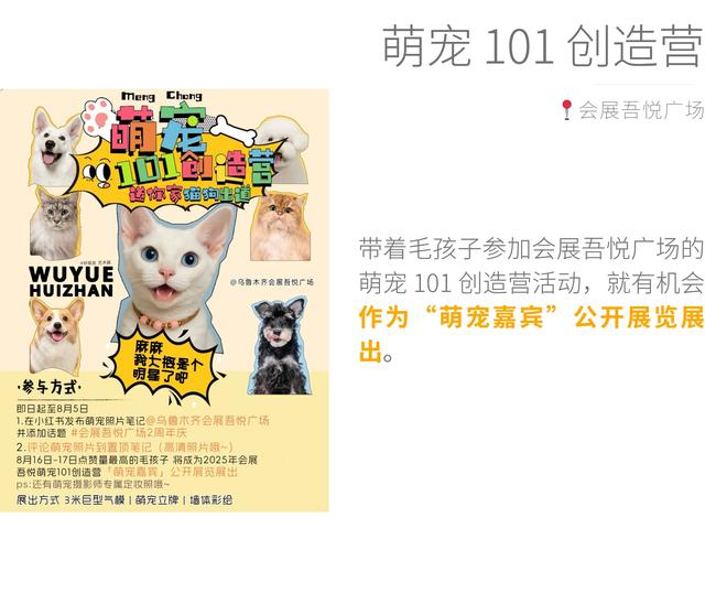8 月在乌鲁木齐必做的事，这里有 50 件