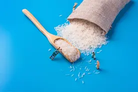 全球停供粮食，中国能扛住吗？图片