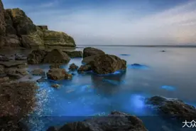 县域旅游成五一“新宠”：人流量性价比成“抢客”关键，能否持久尚待观察图片