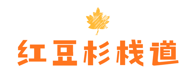 错过等一年！巴山大峡谷秋色刚开场，彩林已美成仙境！