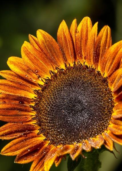 女人正不正经一眼便知：不正经的女人，多半都有这五个特征！