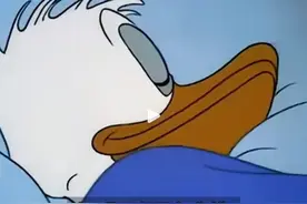 年轻人把唐老鸭当做嘴替图片