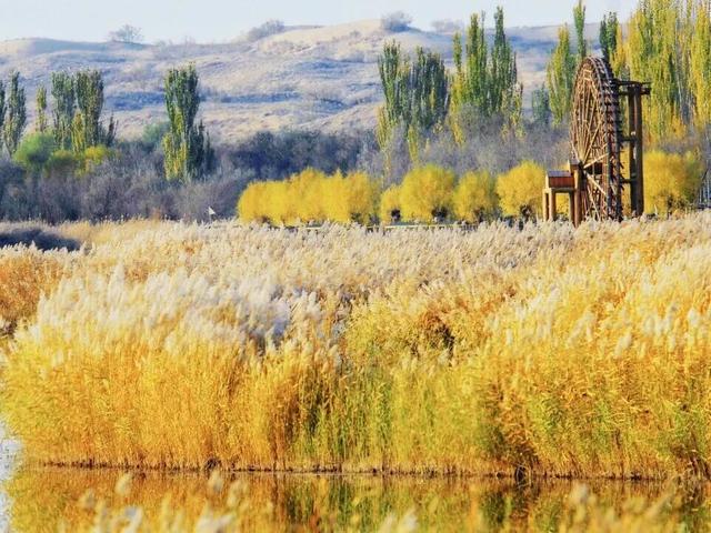塞上江南 颐养宁夏丨银川篇：漫游湖城享自然，邂逅闽宁“山海情”