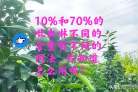 70%吡虫啉和10%吡虫啉：有什么区别？如何正确使用？图片