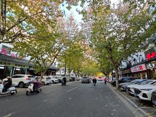 读澄之脉：一脉相承千载韵 人文璀璨耀暨阳