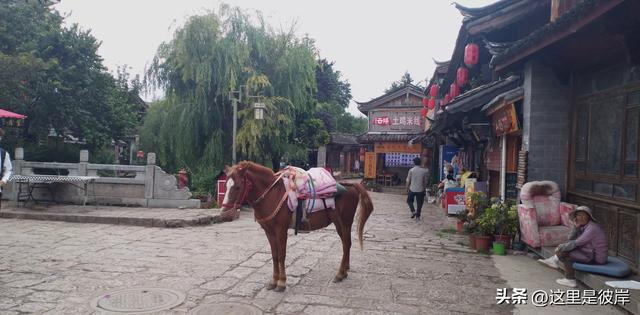 乘公交游丽江的束河古镇