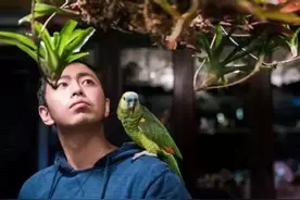 42岁“水哥”现状：20年不上班，住顶级豪宅，活成了所有男人的梦图片