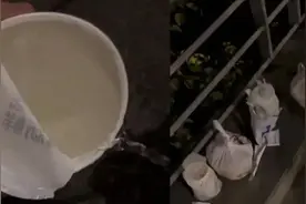 茶百道、华莱士、蜜雪冰城等，紧急致歉！图片