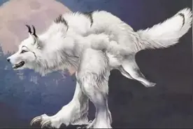 狼狈为奸，一中学正副校长合伙贪腐360余万元。图片