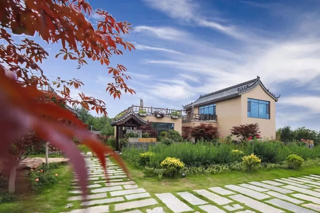 跟着色彩游临沂 | 柿子熟了・田园采摘之旅，承包你的秋日快乐