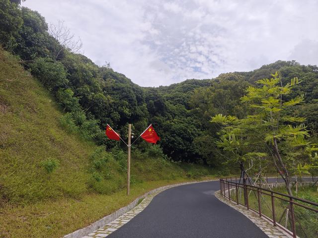 西丽湖国际科教城绿道高清随拍