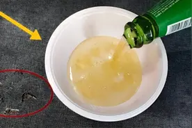 家里蚊子灭不干净，别用蚊香用啤酒，仅需一招让蚊虫去无踪图片