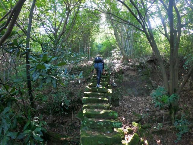 重庆北碚有座龙头山，山上有座400多年的明代老庙，叫“观音堂”