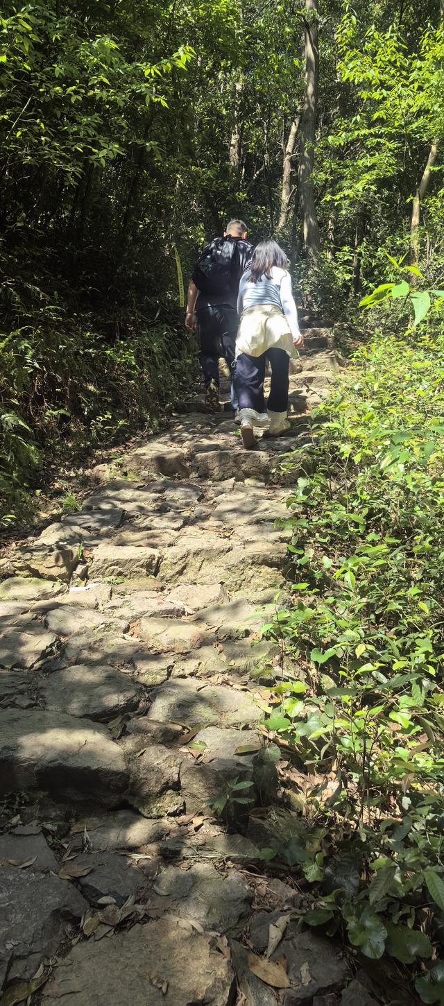 绍兴梅坞古道一条 对新手小白特别友好的线路