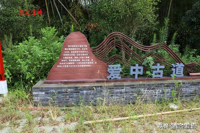 柘岭爱中古道，距离城区非常近，走过还想走