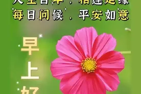 2024年周六今日清晨问候早安美图，农历5月10日愿你吉祥又如意图片
