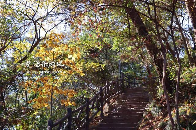 浙江宁波这处城中秘境被人忽略，但是秋色比油画还美，拍照特出片