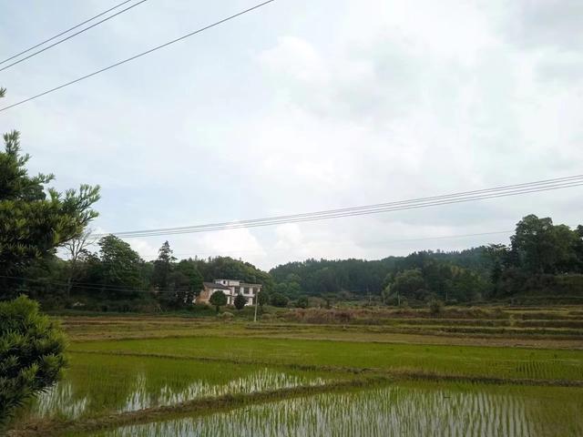浏河滚滚欲留春，独向芳踪觅雅意——徒步小溪河散记（七）