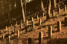 10万国军奋战保卫一国，多年后却遭该国背叛，推平4万烈士陵墓？图片