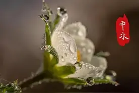 对于预示下雨的种种迹象，你了解多少？来看雨水节气的神秘预兆！图片