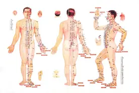 每天一动作，至少让你延寿10年图片