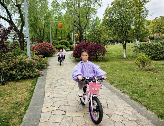 来武当山的100个理由丨太极湖畔春意浓 踏春赏景享悠然