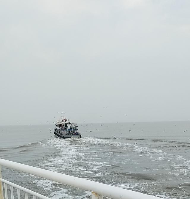 躲不过的心事，操碎了的心