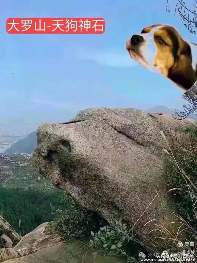 温州大罗山，驴友心目中最喜欢的25个热门打卡点，你去过几个？
