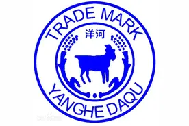 国际名酒：洋河酒。都有什么系列？图片