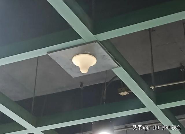 广州地铁天花板长“蘑菇”了？是“救命恩菇”！