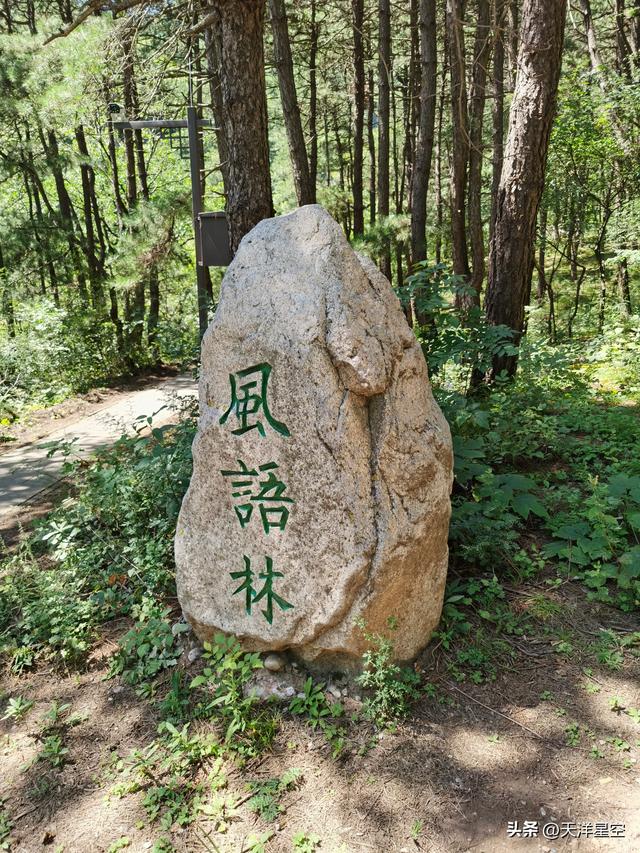 铜川文旅急需改进作风，一切以游客需求为导向。