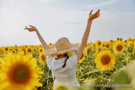 40岁重温“甜宠偶像剧”才发现：女人渴望的爱情，和男人无关图片