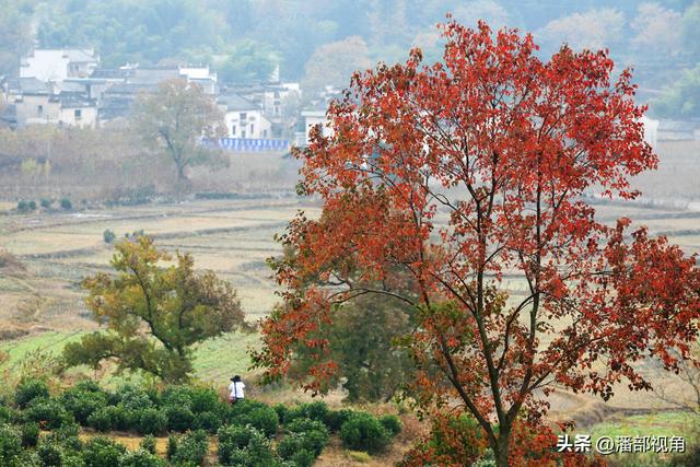 秋色塔川，无梦到徽州
