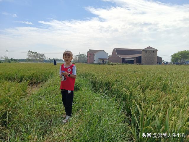 稻田里的咖啡店	，稻花香里话丰年