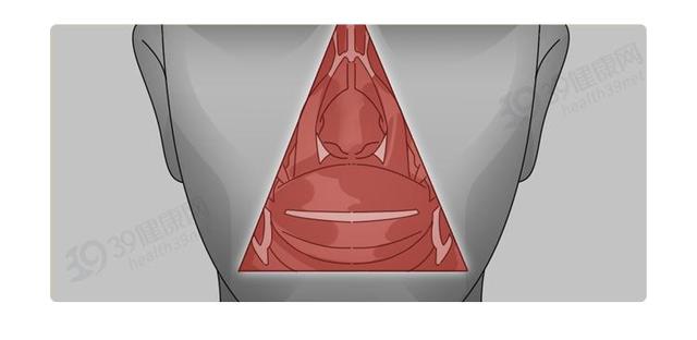 鼻毛总“窜	”出来的男人，暗示了啥？为什么鼻毛会变白？涨知识了