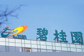 有董事年薪300万降至12万！近两年碧桂园高管薪资下降86%图片