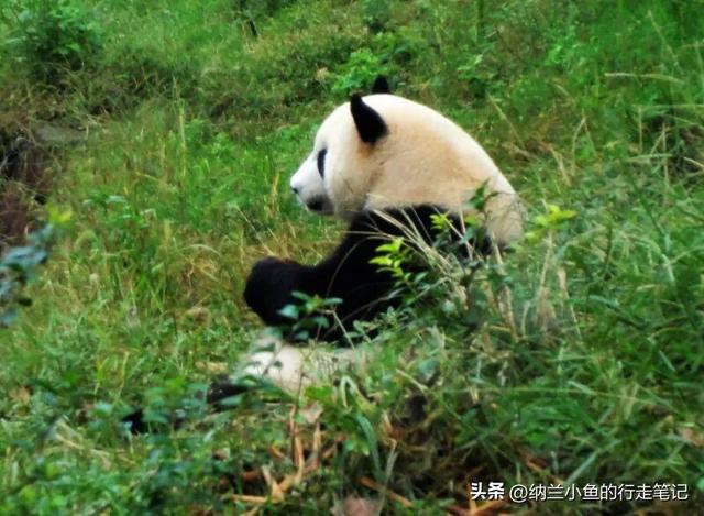 五一反向旅游首选！这7座冷门小城，我不允许还有人不知道！