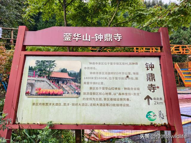 四川行(73)什邡红枫岭徒步到钟鼎寺