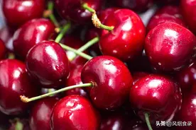 全国哪的樱桃最好吃？经过吃货评选，这5个地方上榜，有你家乡吗图片