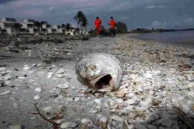 核废水已抵达中国海域，海鲜还能不能吃？网友评论引起万千共鸣！图片