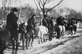 民国时期，东北胡子日常所用黑话全记录，看完保证全会图片