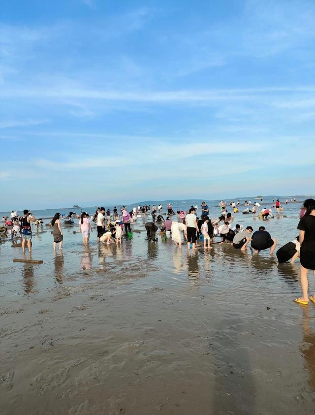 厦门可以赶海的6个地点推荐，环东滨海浪漫线和黄厝沙滩榜单有名