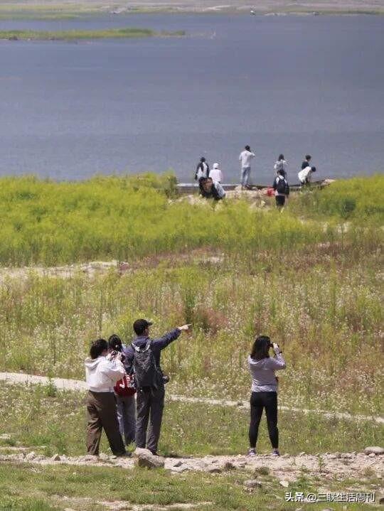 与三联同行，行走黄山不止于“雾凇限定”