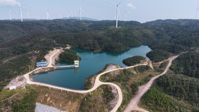 1062米轿子岭上摘野果！黄花岭风电公路太香了