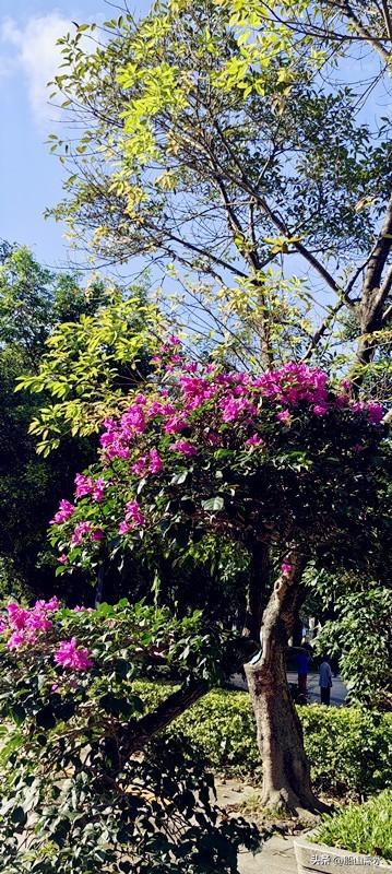 六载重登石芽岭