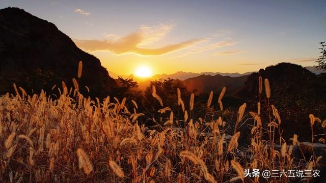 “秋老虎猛不猛，就看末伏”，今日末伏，今年秋老虎会很凶吗？